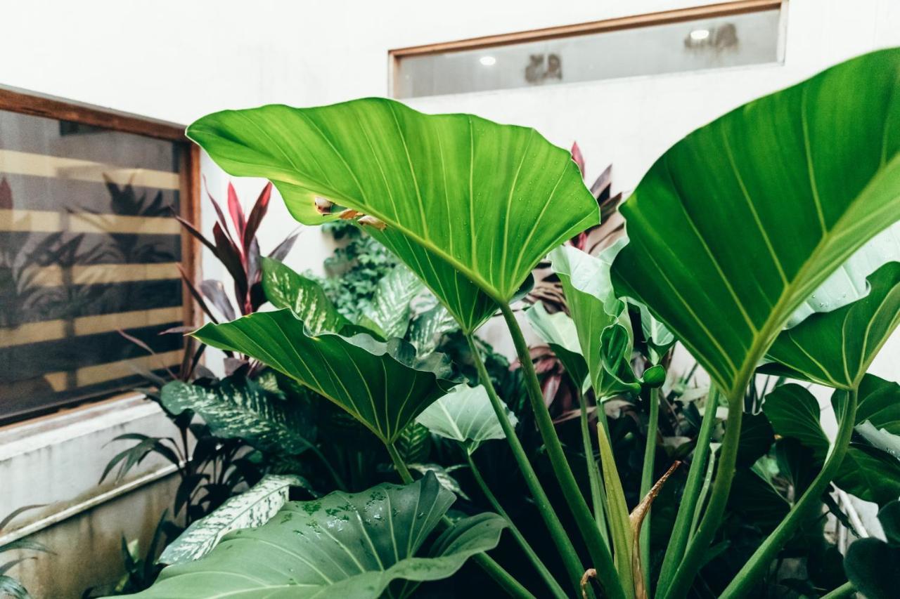 Moss Bnb Colombo Luaran gambar